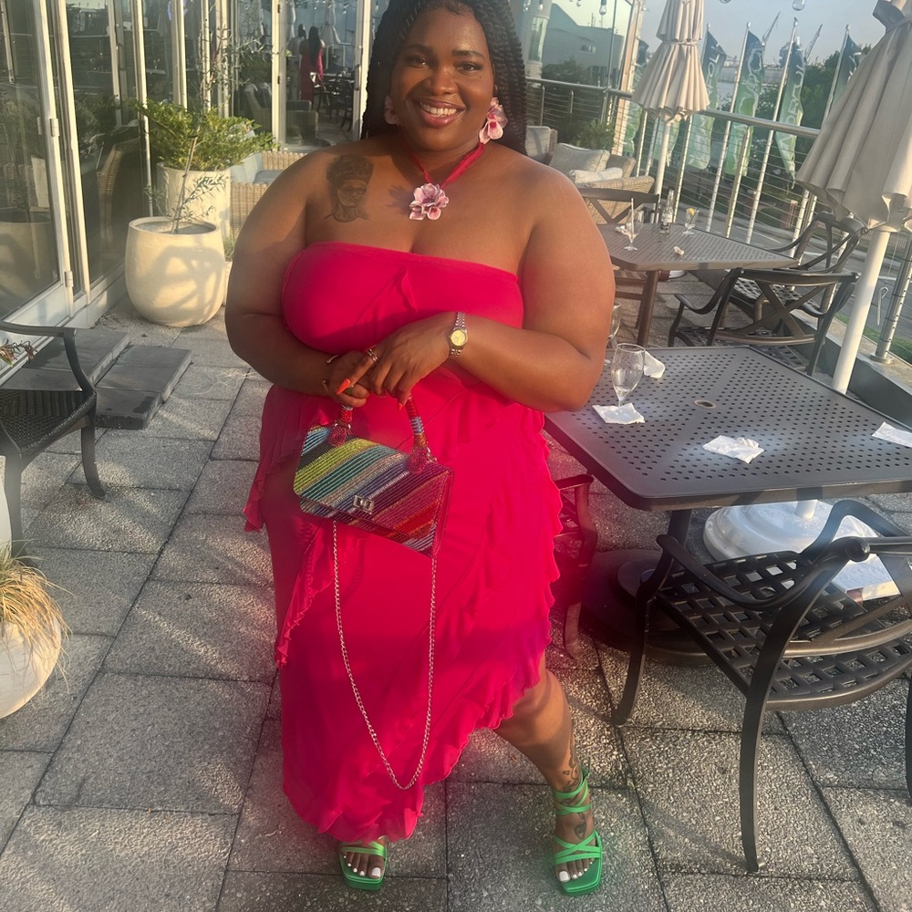 Ivana Ruffle Mesh Midi Dress - Picture 2 of 3